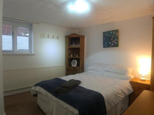 Ty Newydd Gwyn - G/F Room chambre d'hôte Cyffylliog