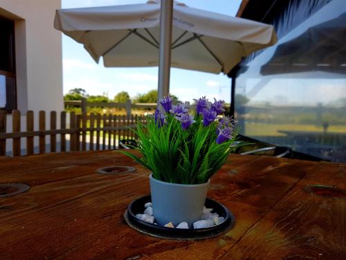 Vistas, Albergue El Aleman in Pontevedra