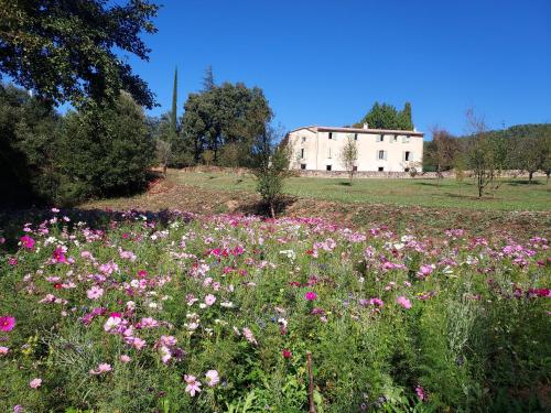 Les Jardins de Falguière - Chambre d'hôtes - Saint-Jean-du-Gard