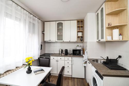 Konyha, Astra Apartment near the main bus station in Rotkvarija