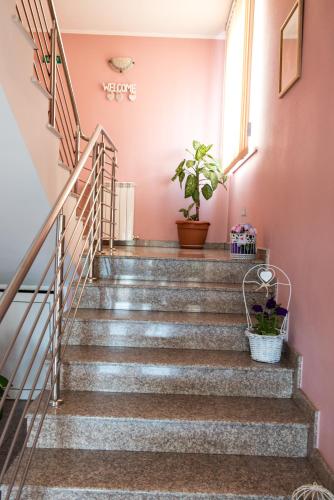 บริการและสิ่งอำนวยความสะดวก, โรงแรมไลรา (Hotel Lyra) in มิไฮเอมิเนสกู