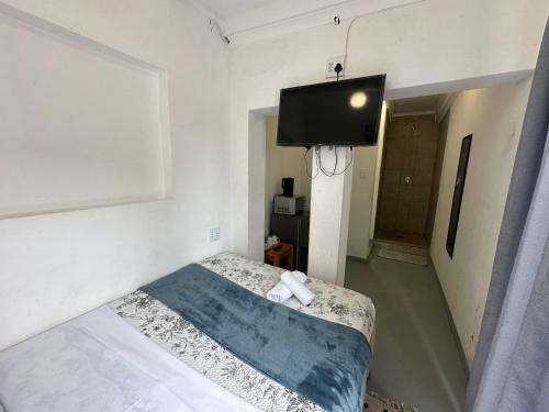 Southernwood nest in Southernwood