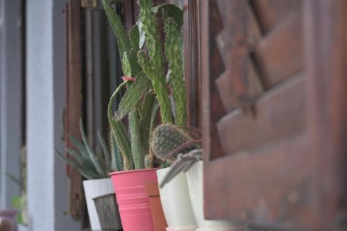 Canyon Matka Nature Apartments with a terrace - Skopje