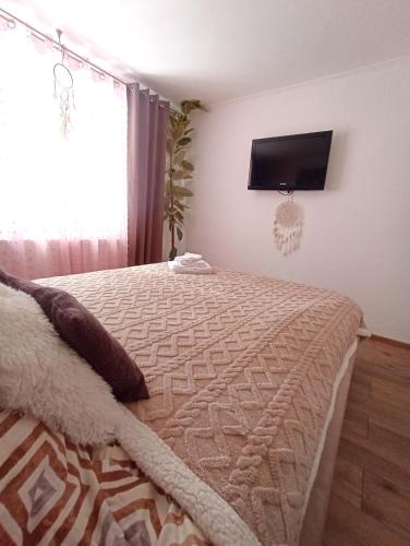 Apartament Eagle - Apartment - Predeal