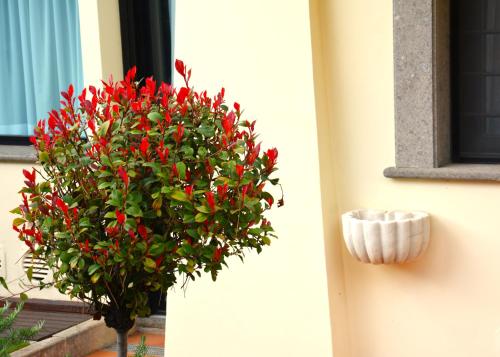 Gemelli Hotel - image 4