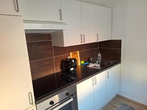 그레이스도르프 Flataid Apartments Ludersdorf - voll ausgestattet mit Parkplatz 3성급 게스트하우스 객실