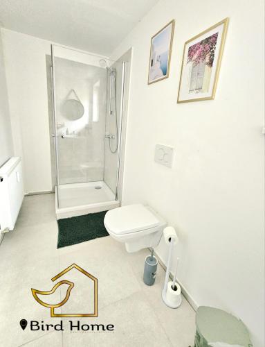 Bird Home Room 11 in Klagenfurt