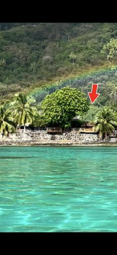 Fare Hotu Punaauia bord de mer in Tahiti