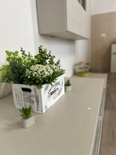 Regina Elena Regina Elena