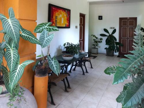 LUMBINI home stay - image 4