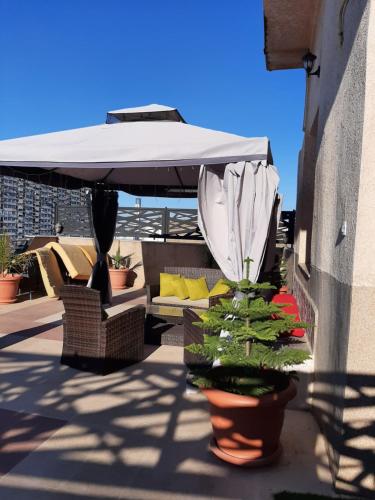 Bel appartement avec vue sur la baie d'Alger