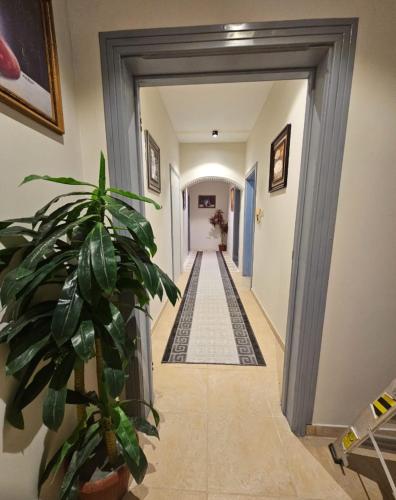 استيديو حياة الفيصلية دخول وخدمة ذاتيه in Ar Rass