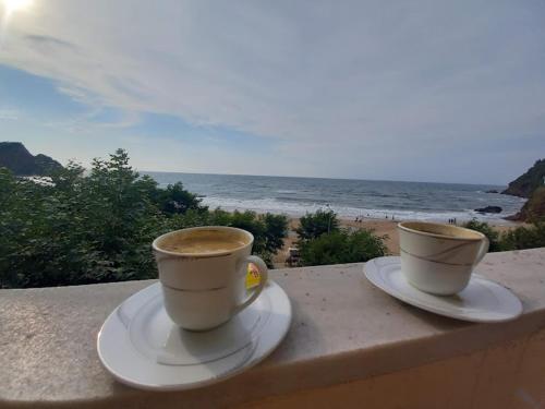 PINAR OTEL in Amasra