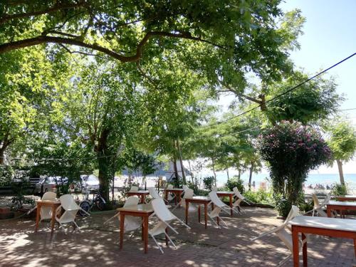 tuin, PINAR OTEL in Amasra