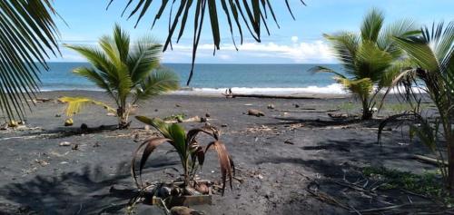 Casa Palos Verdes in Puerto Viejo de Talamanca