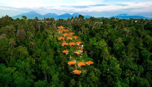 Nandini Jungle by Hanging Gardens