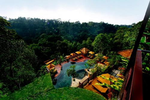 Nandini Jungle by Hanging Gardens