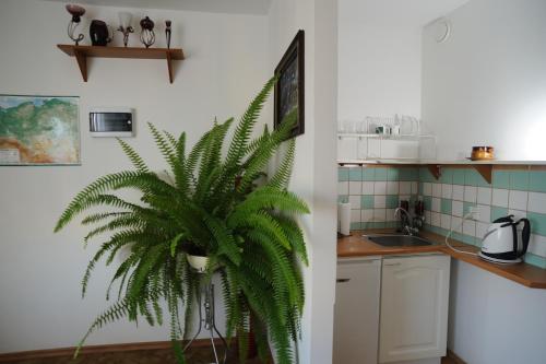 Instalações, Villa Pan Tadeusz in Siedlce / Chelm