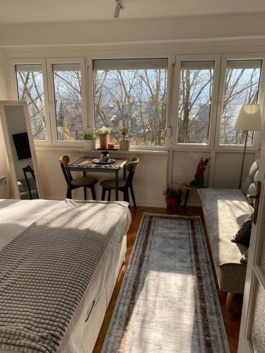 Studio Central Apartment