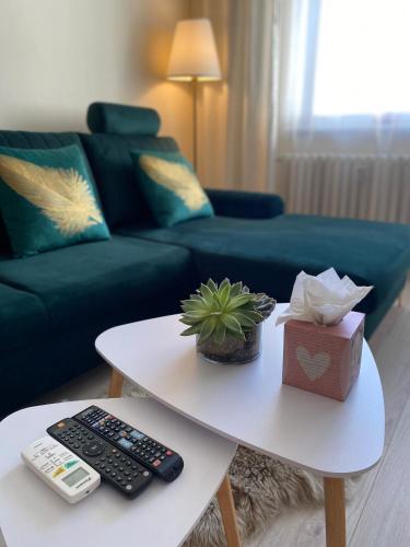 . City Apartment