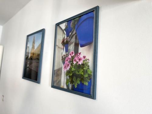 Apartamento céntrico urbano con terraza, Córdoba (fotografie 9)