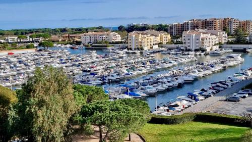 Studio avec vue sur Marina et Mer - 2 adultes et 1 enfant maximum - Location saisonnière - Mandelieu-la-Napoule