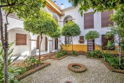 El rincón de la Chiquita & Parking, Córdoba (fotografie 5)