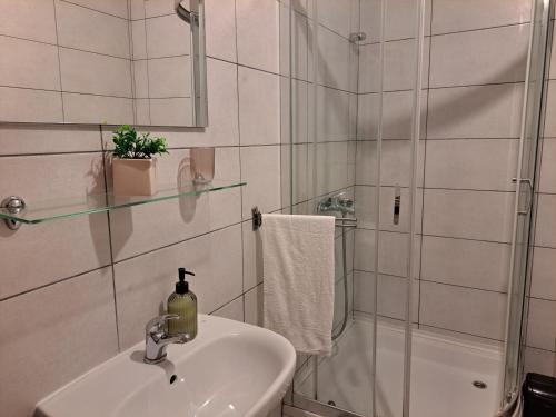 Apartman Ušće