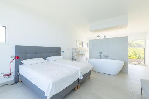 Dzov in Le Jas des Amandiers