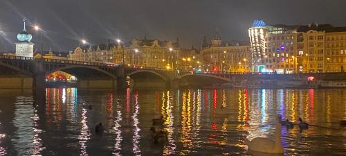 Super Solo Traveler's Loft with Stunning Prague Views