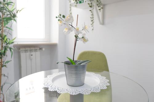 247 Luxury Rooms Trastevere - image 3