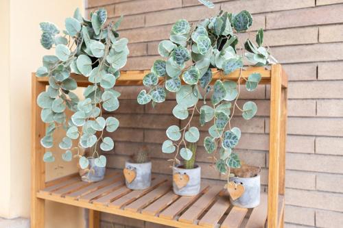 247 Luxury Rooms Trastevere - image 6