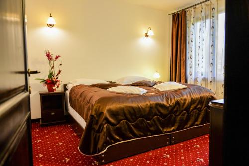 Hotel Bistrita - Tap to explore photos