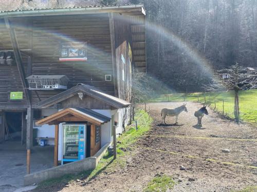 Romantic Swiss Alp Iseltwald with Lake & Mountains