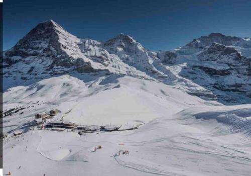 Romantic Swiss Alp Iseltwald with Lake & Mountains