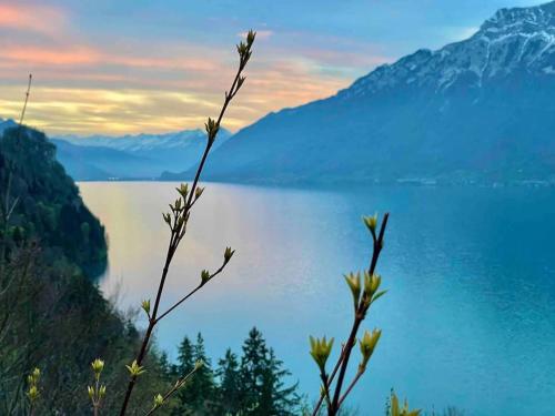 Romantic Swiss Alp Iseltwald with Lake & Mountains