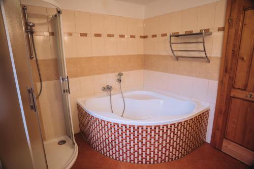 Bathroom, Chata Rip in Frantiskov