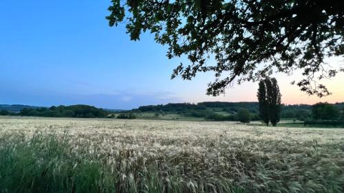 La Demeure en Périgord - Avec piscine privée