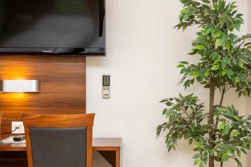 Single Apartment image 8