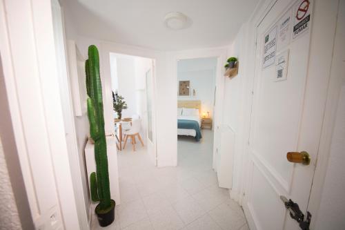 Apartamentos Las Gondolas Almuñecar - image 12