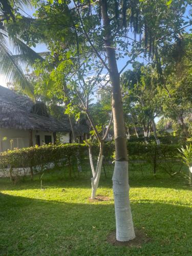 One bedroom holiday home malindi