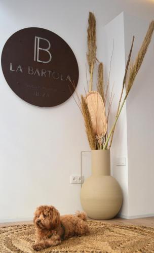 La Bartola Guesthouse - image 3