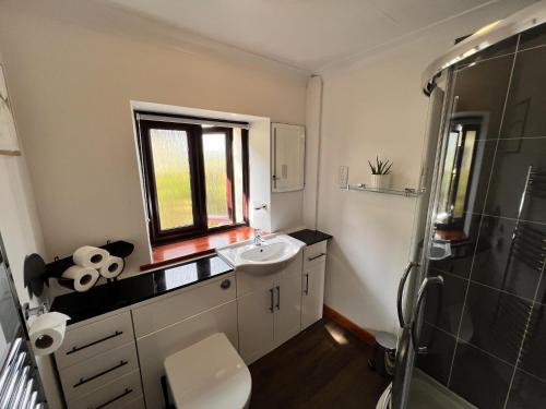 Ty Efail Cottage mountain views & secure garden, Beaumaris (fotografie 5)