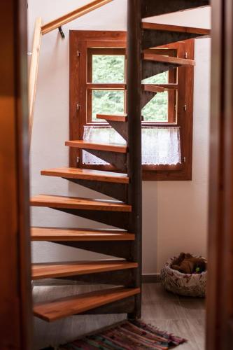 Faciliteiten, Ujastraba in Levoča