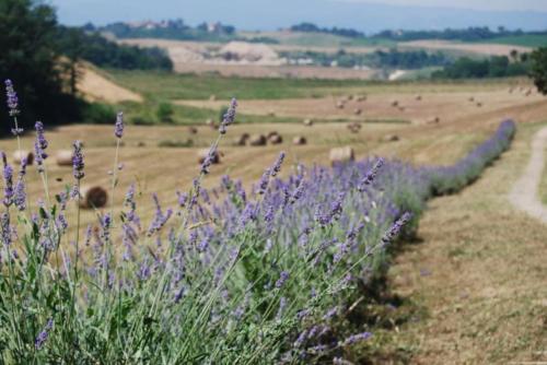 Salceta, a Tuscany Country House