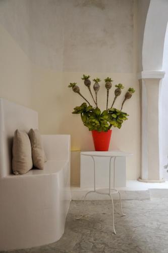 Casa Blanco - image 13