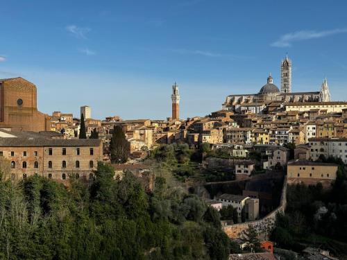 SKYLINE Siena - image 3