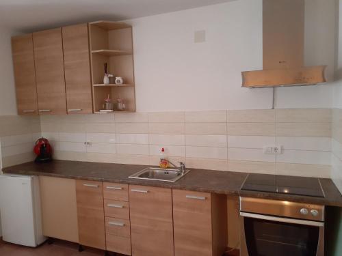 Apartment by the sea in Njivice