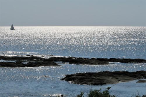 Vitamin Sea chambre d'hôte Piriac-sur-Mer