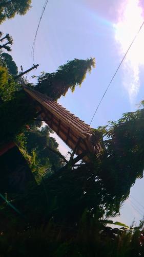 Sakleshpur Home Stays in Sakleshpur